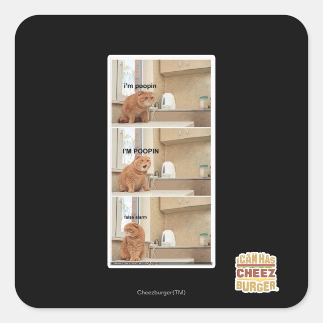 I'm poopin! square sticker (Front)