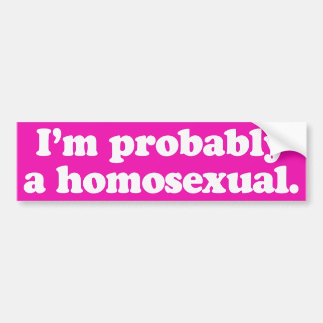 I'm probably a homosexual -.png bumper sticker (Front)