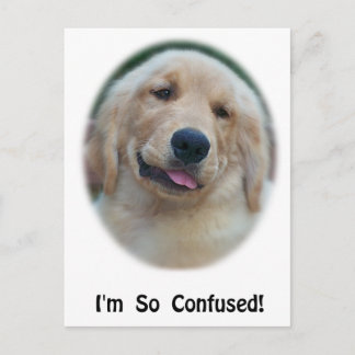 "I'm So Confused" Funny T-Shirts & Gifts Postcard