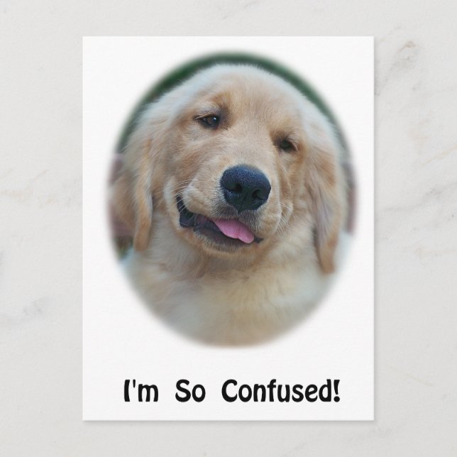 "I'm So Confused" Funny T-Shirts & Gifts Postcard (Front)