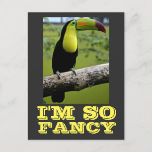 I'M SO FANCY TOUCAN POSTCARDS