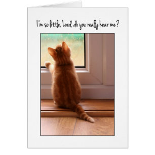 I'm so little Lord do you hear me? kitten
