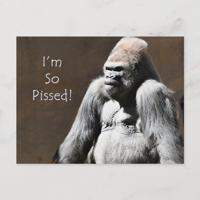 I'm so Pissed Postcard (Front)