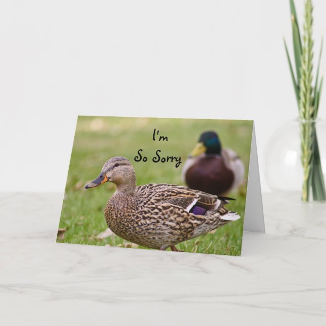I'm So Sorry Duck Card (Front)