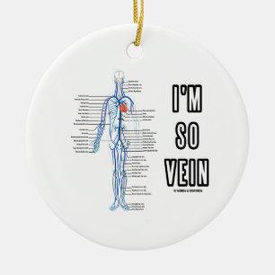 I'm So Vein (Circulatory System Anatomy Veins) Ceramic Tree Decoration