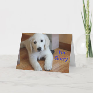 I'm Sorry apology card