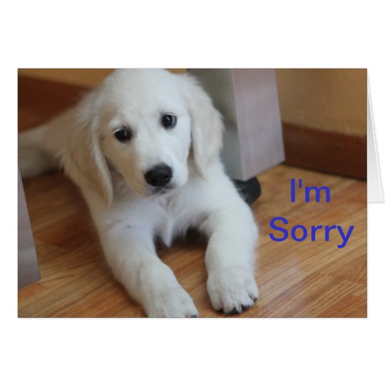I'm Sorry apology card
