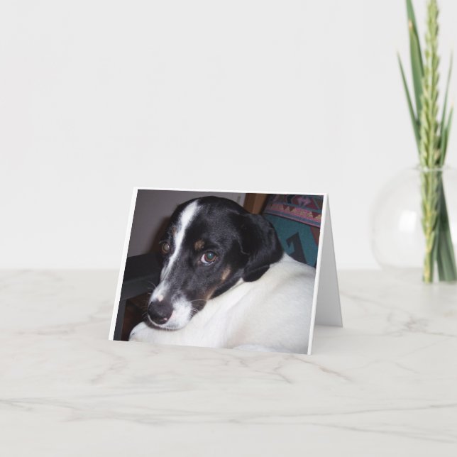 I'm Sorry Card (Front)