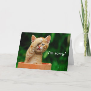 I'm sorry! card