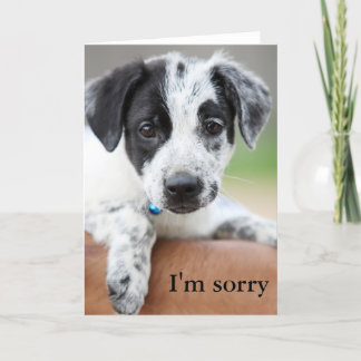 I'm sorry card