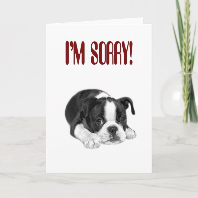 I'm Sorry Card (Front)