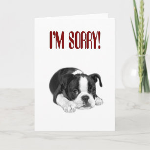 I'm Sorry Card