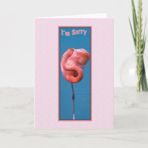 I'm Sorry Card with Twisted Pink Flamingo