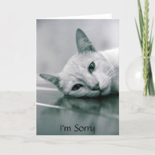 I'm Sorry cat card