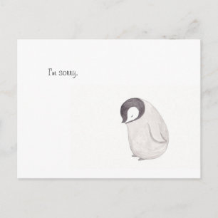 I'm Sorry Cute Penguin Post Card