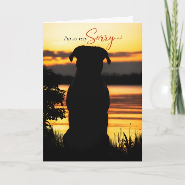 I'm Sorry Dog Silhouette by a Sunset Lake Card (Front)