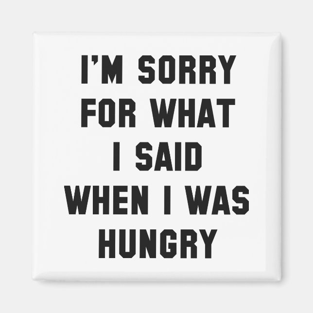 I'm Sorry For What I Said Magnet (Front)