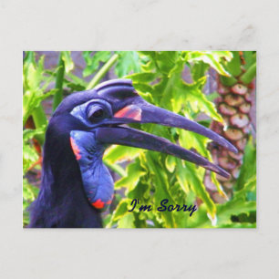 I'm Sorry/Forgive Me/ Missing You_Postcard Postcard