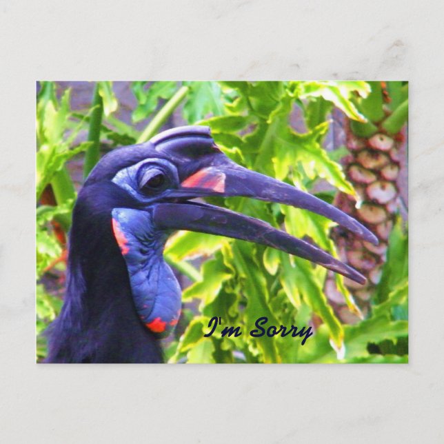 I'm Sorry/Forgive Me/ Missing You_Postcard Postcard (Front)