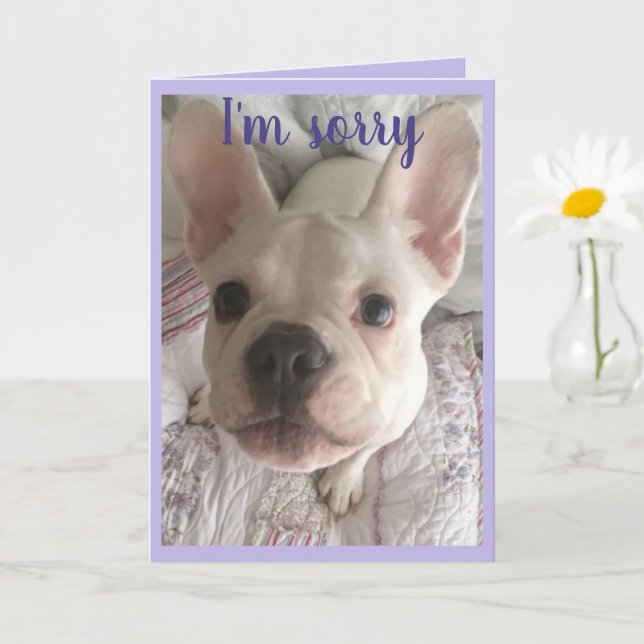 I'm Sorry HANGRY Card French Bulldog Puppy Pastel (Small Plant)
