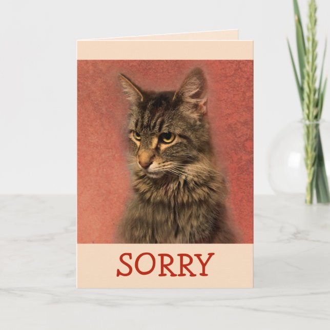 I'm Sorry Kitty Apology Card (Front)