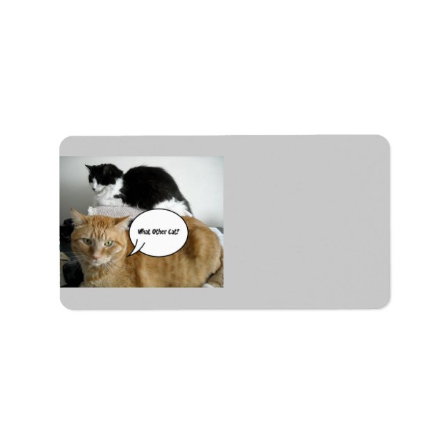 I'm Sorry Label (Front)