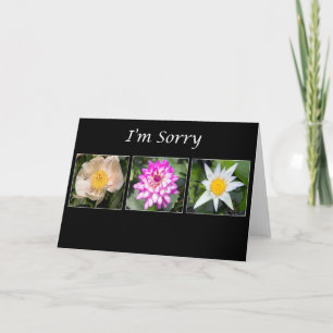 I'm Sorry Peony, Dahlia, Lotus Botanical Card