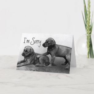 I'm Sorry - Puppy Friends Card