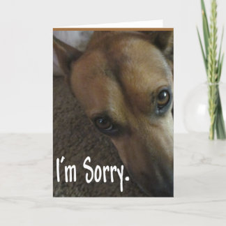 I'm Sorry Sad Dog Card