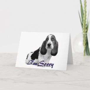 I'm Sorry sad puppy card