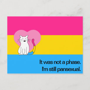 I'm Still Pansexual Cat with Pansexual Flag Postcard