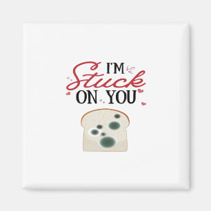 Im Stuck On You Clean Romantic Style  Magnet