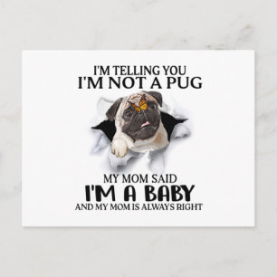 I'm Telling You I'm Not A Pug I'm A Baby Pug Lover Postcard