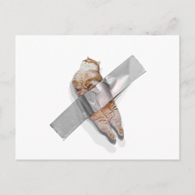 I'm the best banana! postcard (Front)