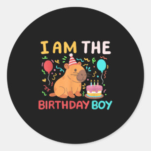 Im The Birthday Boy Cute Capybara Kids Bday Family Classic Round Sticker
