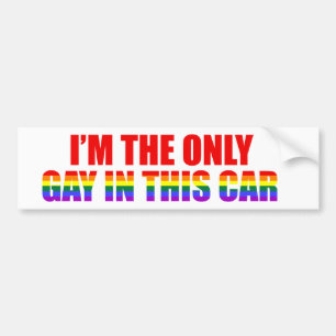 I'm The Only Gay In This Car LGBT Funny Humour Jok Bumper Sticker
