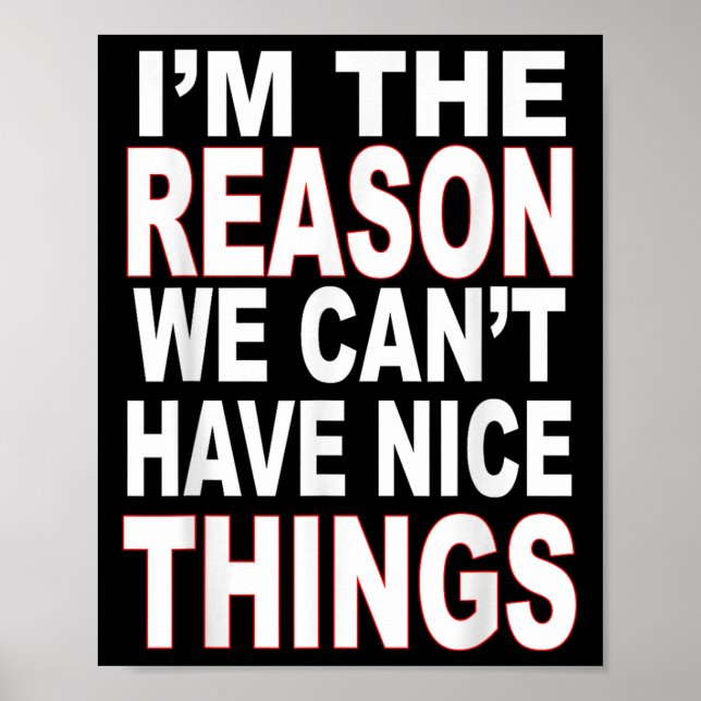 I'm The Reason We Can't Have Nice Things Funny  Poster (Front)