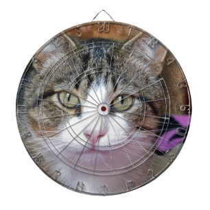 I'm Thinking Dartboard