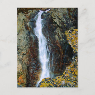 I'M TOO ALONE IN THE WORLD POSTCARD