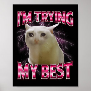 I'm Trying My Silly Crying Cat Meme Funny Cats Ani Poster
