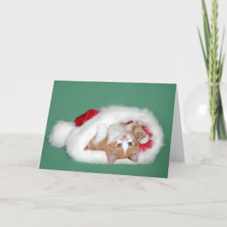 I'm trying to be good holiday card