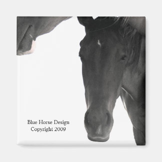 I'm Trying to Sleep Here Magnet