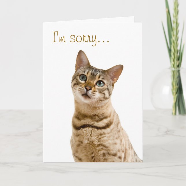 I'm very sorry, please forgive me card (Front)