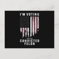 I'm Voting For The Convicted Felon Pro Trump 2024