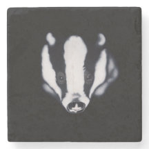 ' I'm Watching You '  badger stone coaster