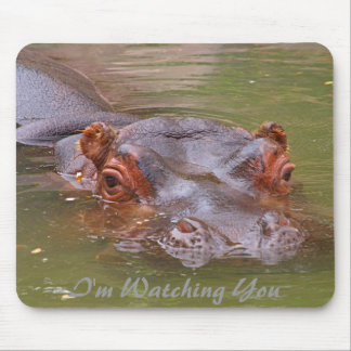 I'm Watching You Mouse Mat