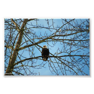 I'm Watching You Photo Print