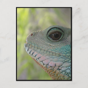 I'm watching you - Postcard