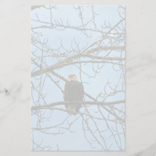 I'm Watching You Stationery