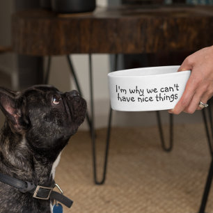 I'm Why we Can't have Nice Things Funny